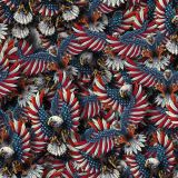 American-Flag-Eagle-23-thumb.jpg