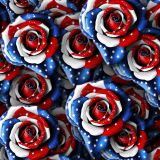 American-Rose