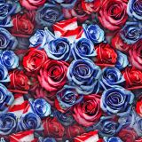 American-Roses-42