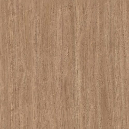 American Walnut 23
