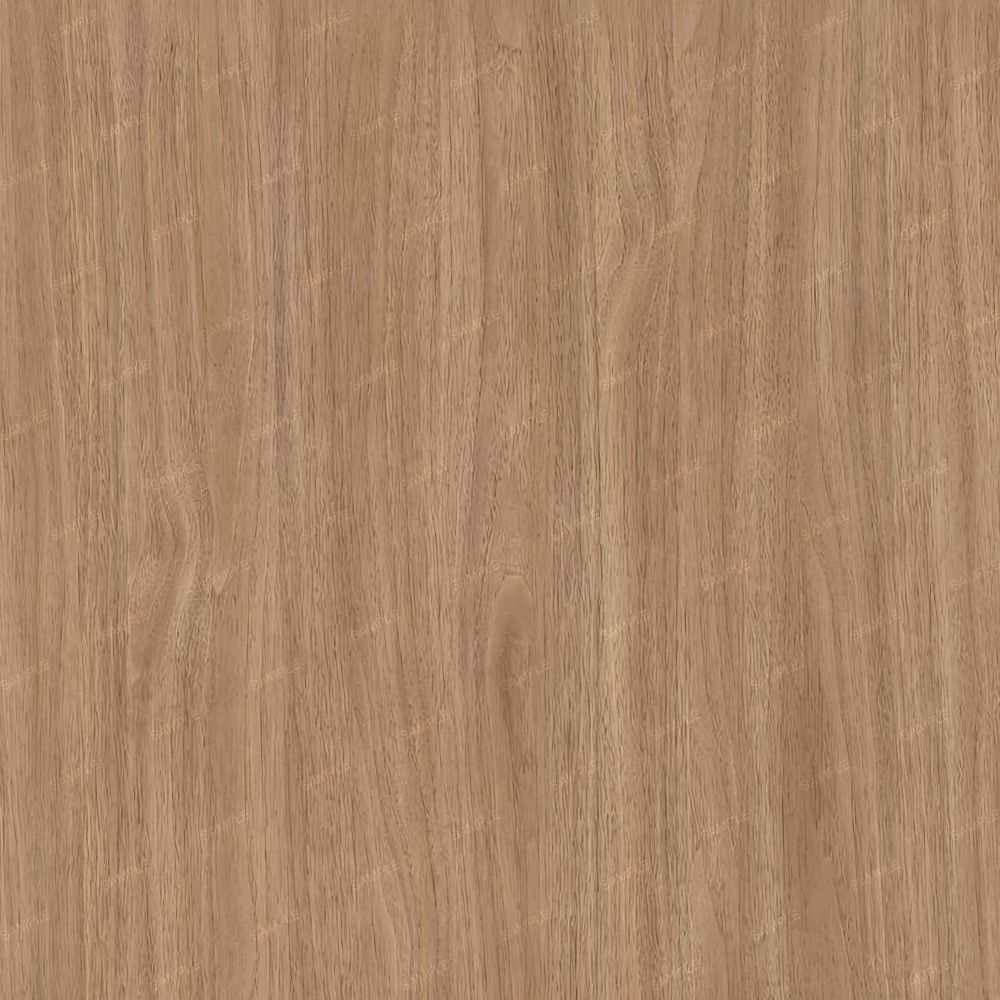 American Walnut 23