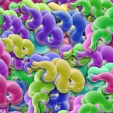 Amphorus-Neon-Blobs