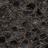 Ancient-Dragon-Skin