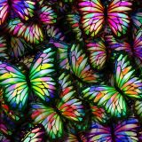 Another-Damn-Butterfly-Pattern
