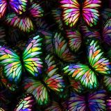 Another-Damn-Butterfly-Pattern-22