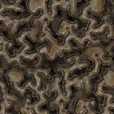 Ant-Farm-Camo