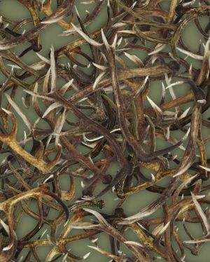 Antlers 23 Olive