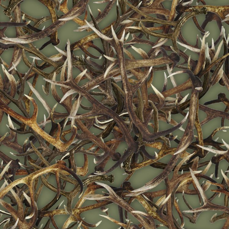 Antlers 23 Olive
