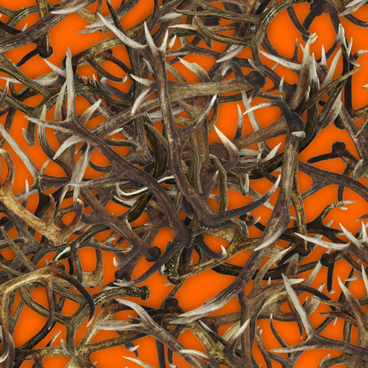Antlers 23 Orange
