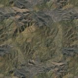 Arizona-Camo-23-1