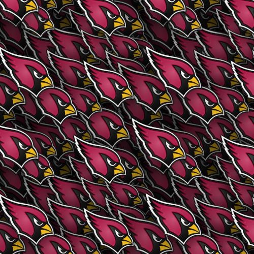 Arizona Cardinals 23
