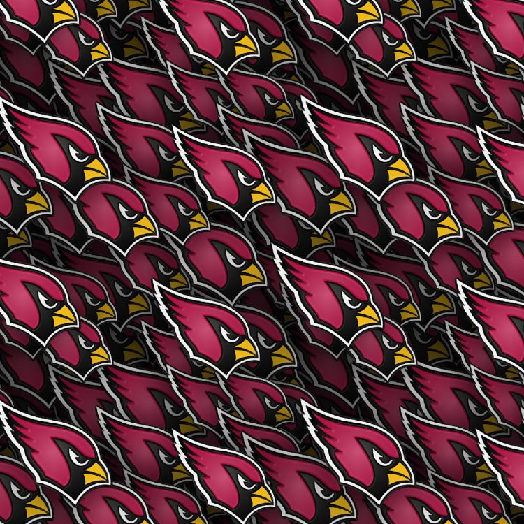 Arizona Cardinals 23