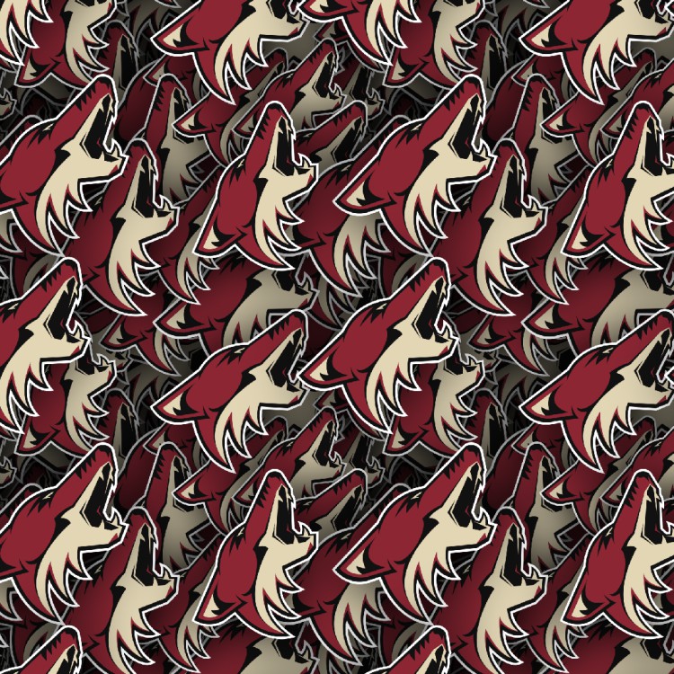 Arizona Coyotes 22