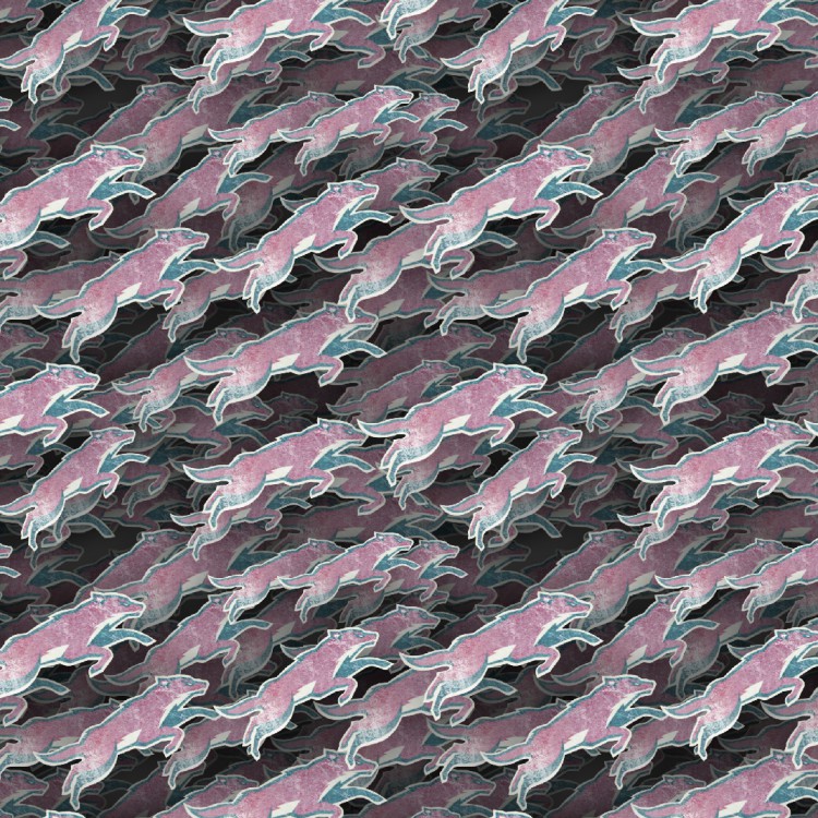 Arizona Coyotes 24