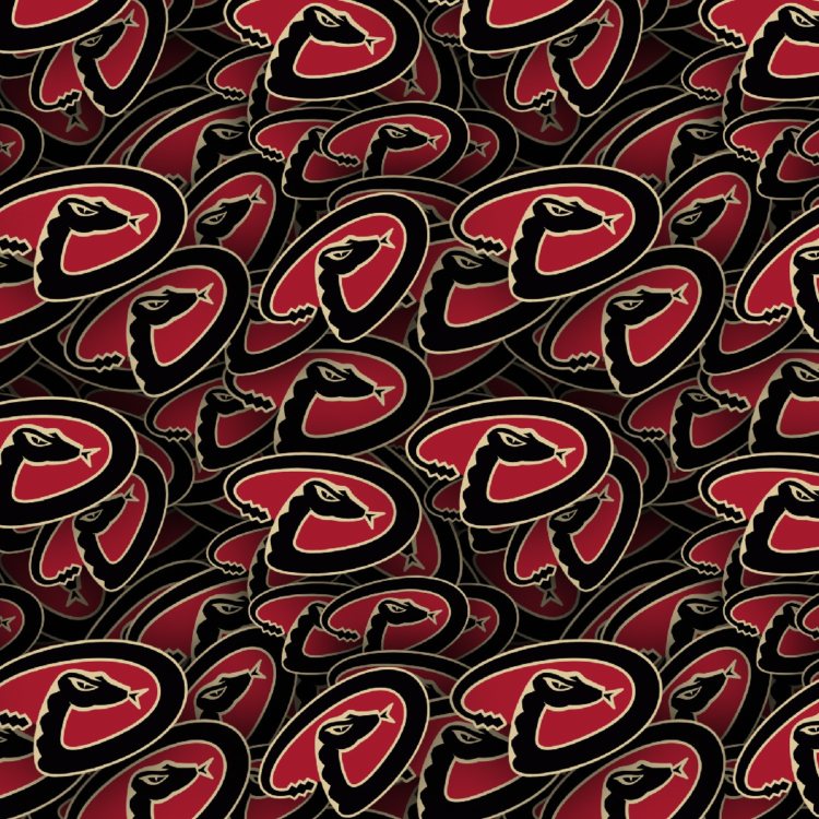 Arizona Diamondbacks 24
