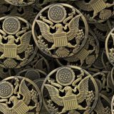 Army-Medallion-42-thumb