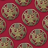 Army-Medallion-44-thumb-1