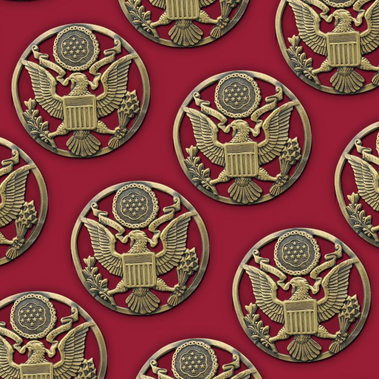 Army Medallion 44