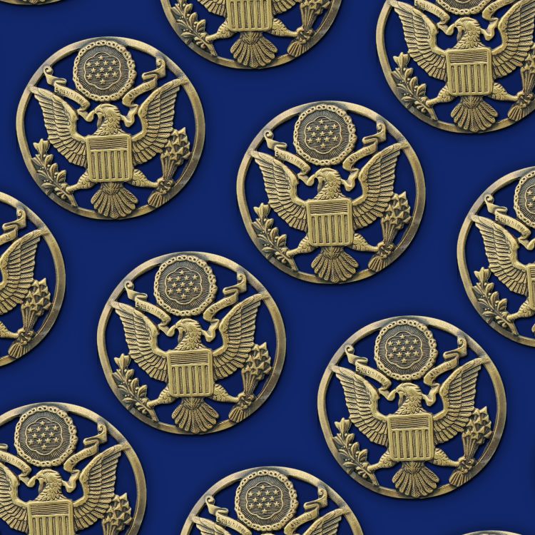 Army Medallion 45