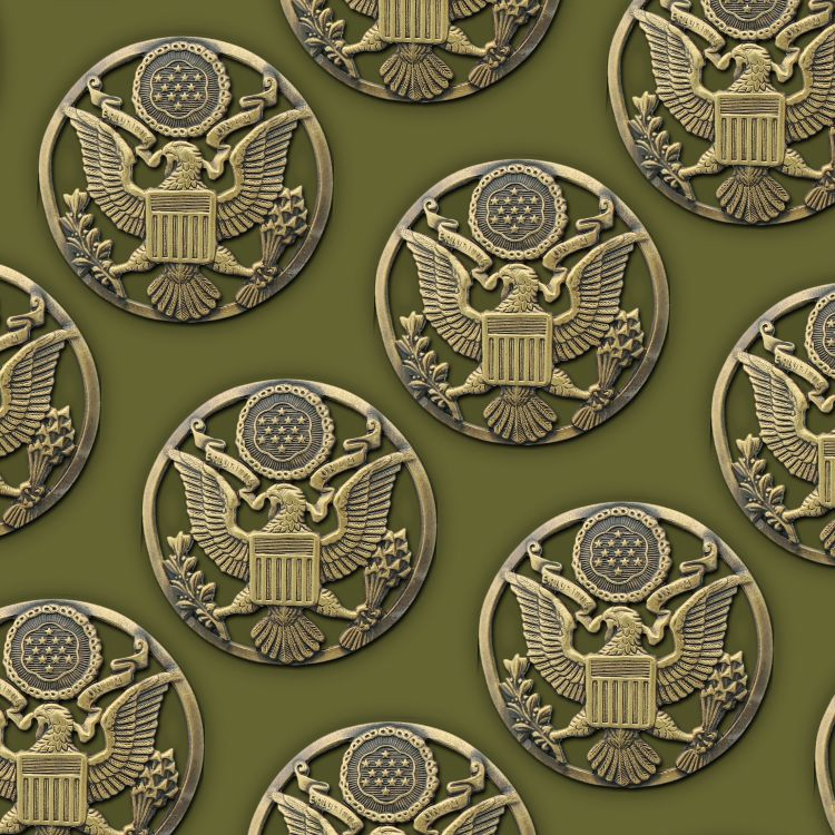 Army Medallion 46