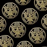 Army-Medallion-48-thumb