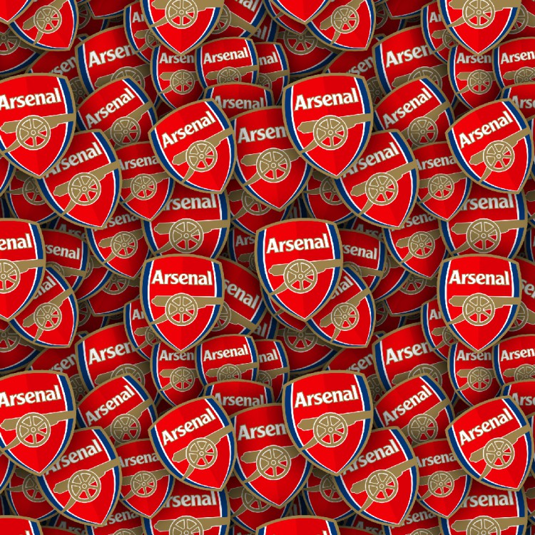 Arsenal FC 22