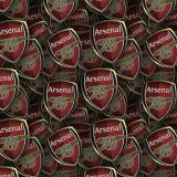 Arsenal-FC-24.jpg