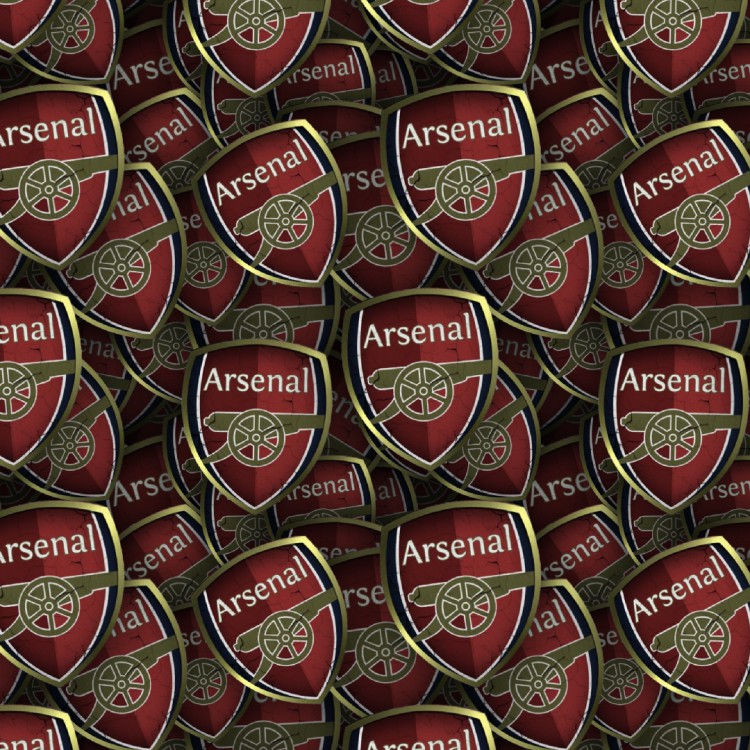 Arsenal FC 24