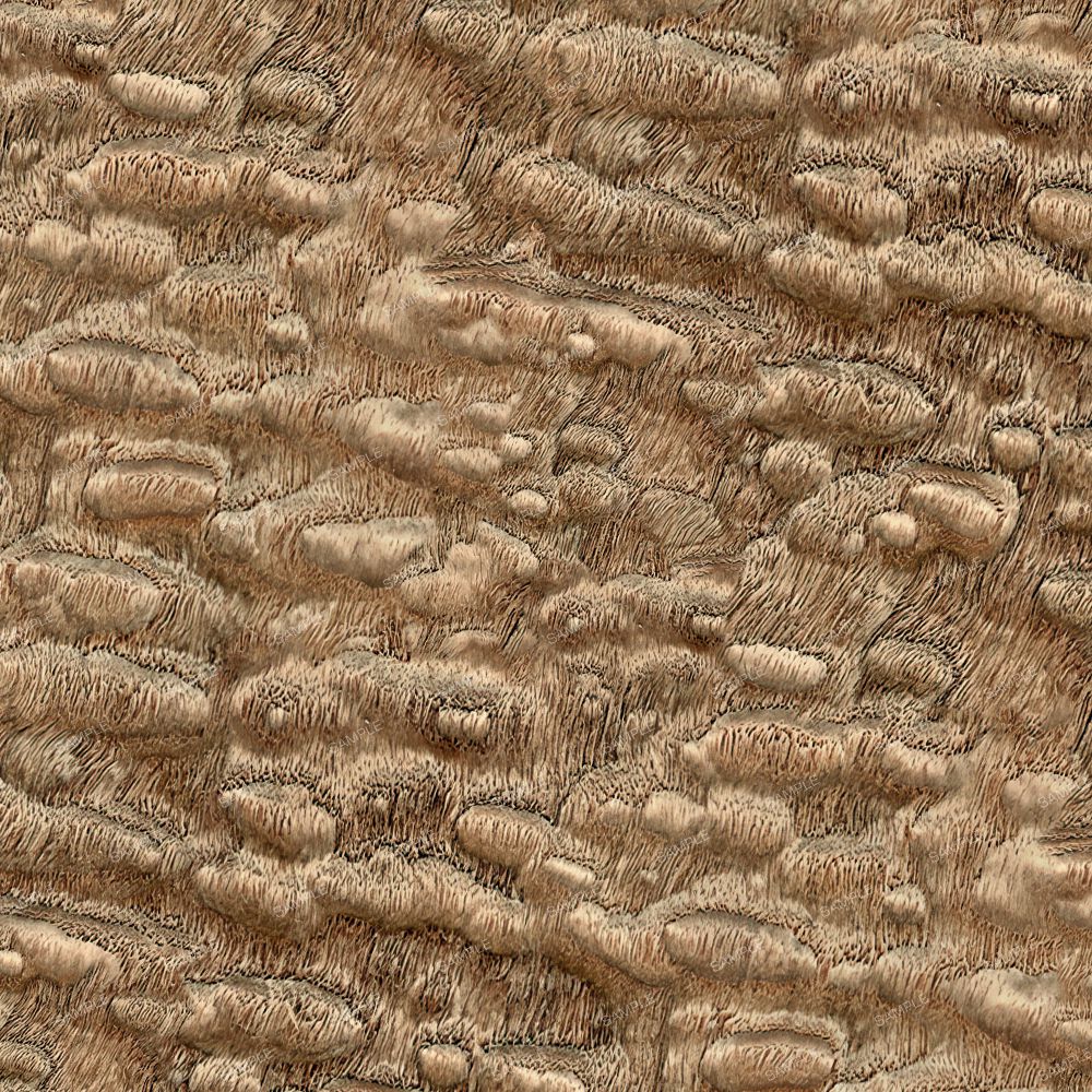 Ash Burl 42