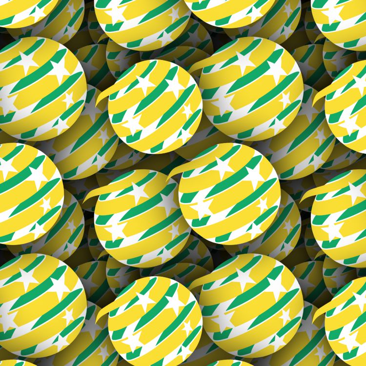 Australian National Soccer Team