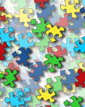 Autism Puzzle 33