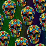 Autism-Skulls-26