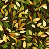 Autum-Laurel