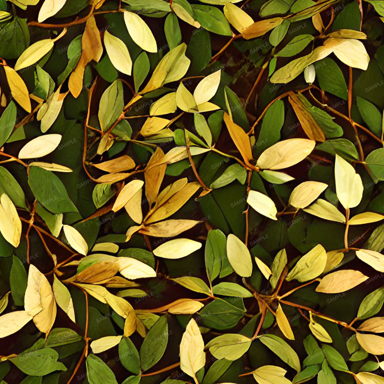 Autum Laurel
