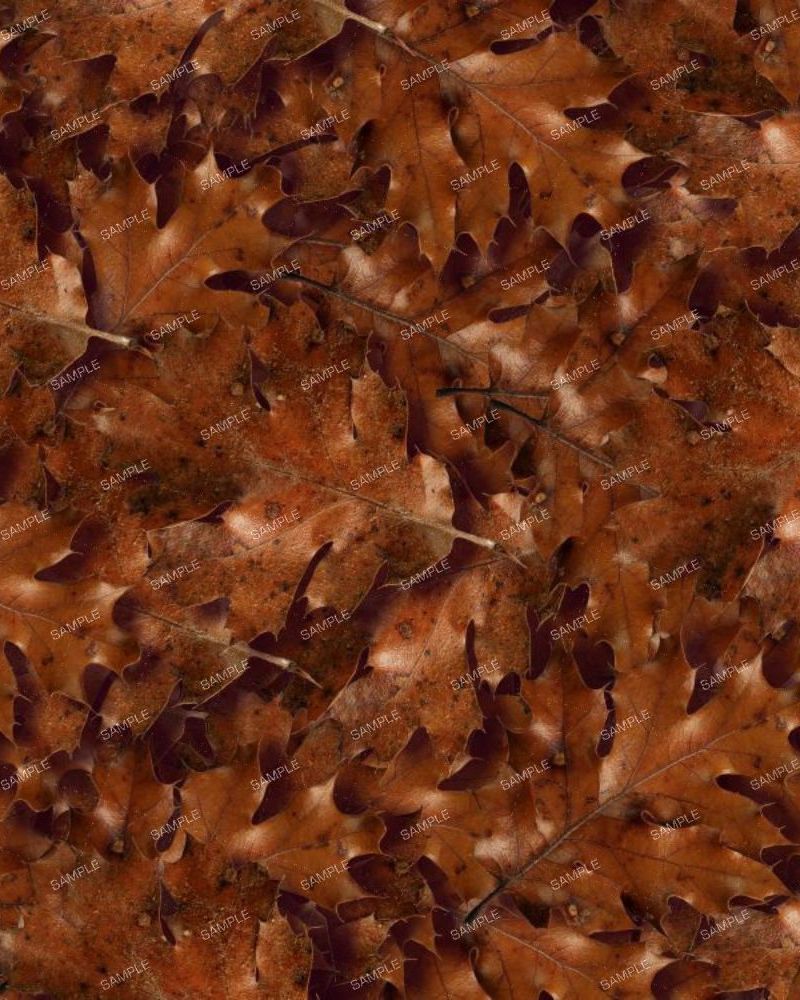Autumn Leaves