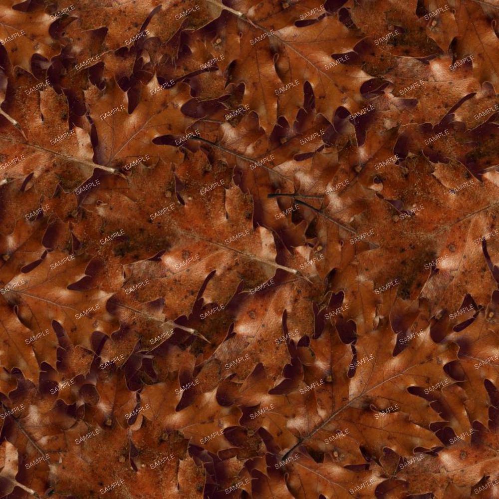 Autumn Leaves