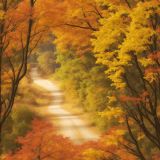 Autumn-Roads