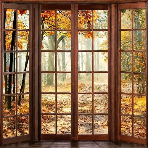 Autumn Windows