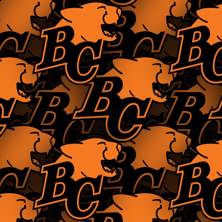 BC Lions 22