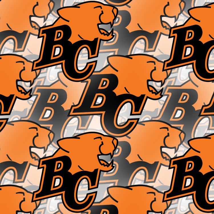 BC Lions 23