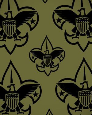 BSA Camouflage 23