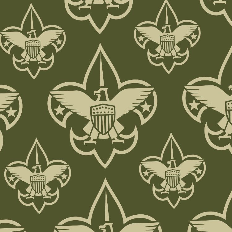 BSA Logo Green Tan