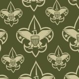 BSA-Logo-Green-Tan