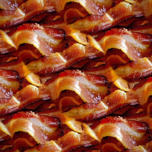 Bacon 22