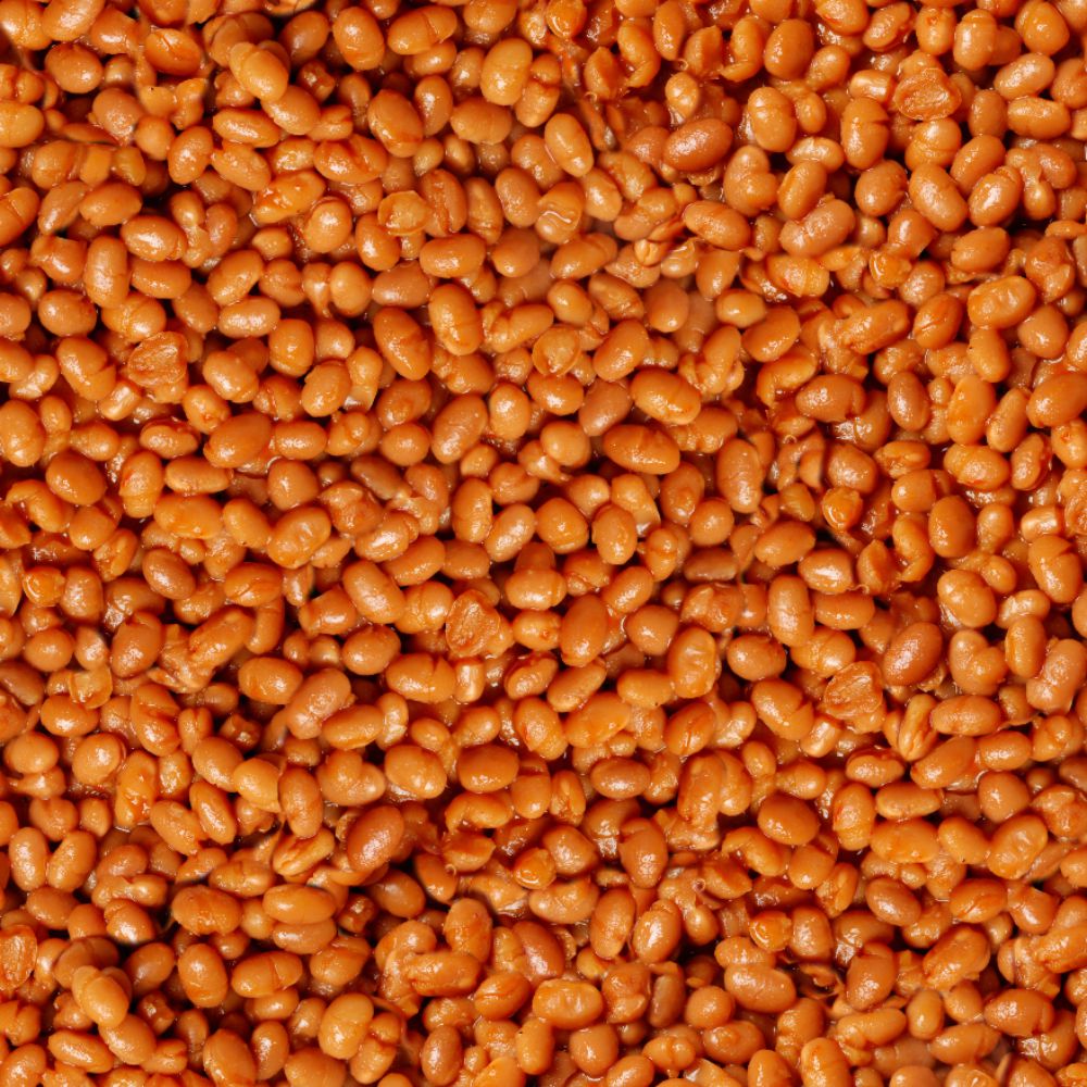 Baked Beans 22