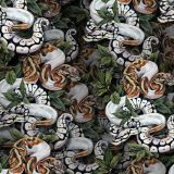 Ball-Pythons-22