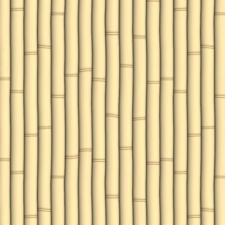 Bamboo 22