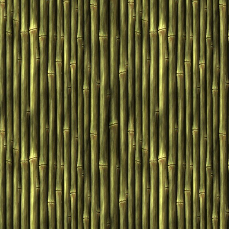 Bamboo 24