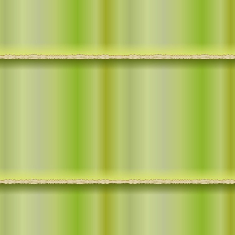 Bamboo 26