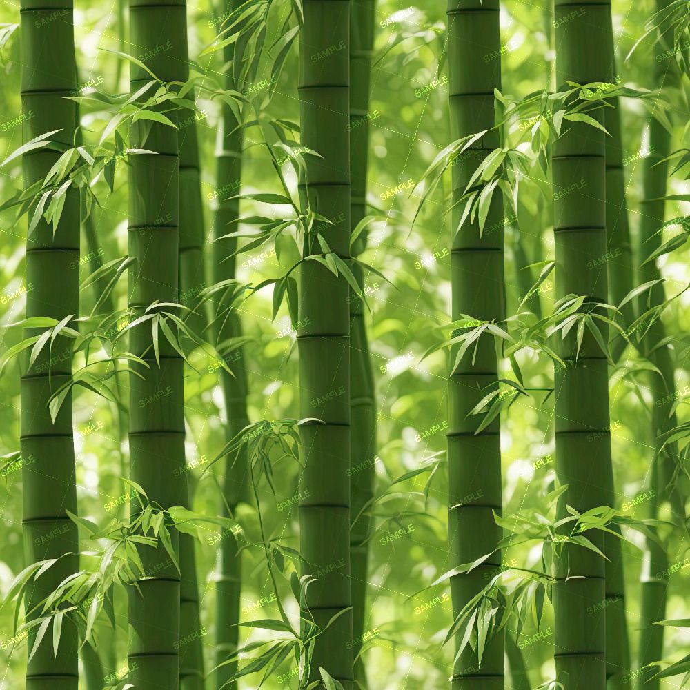 Bamboo Forest